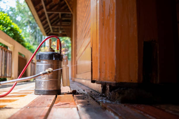 Best Cockroach Control Services  in Patchogue, NY